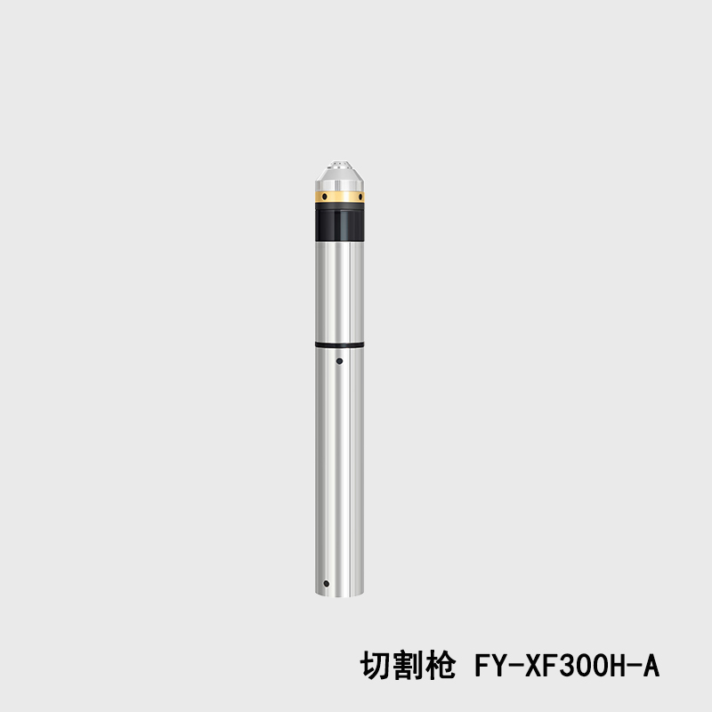 FY-XF300H-A